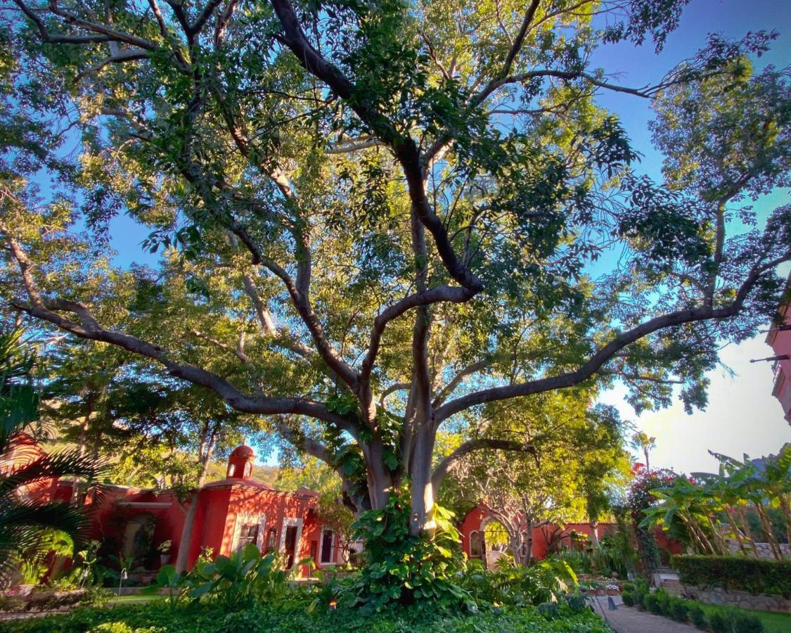 Álamos Hacienda De Los Santos מראה חיצוני תמונה