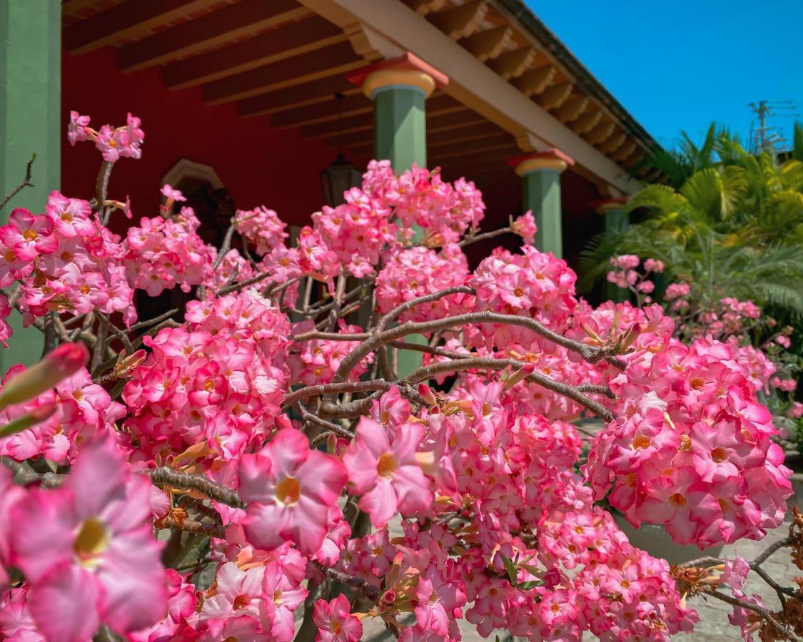 Álamos Hacienda De Los Santos מראה חיצוני תמונה